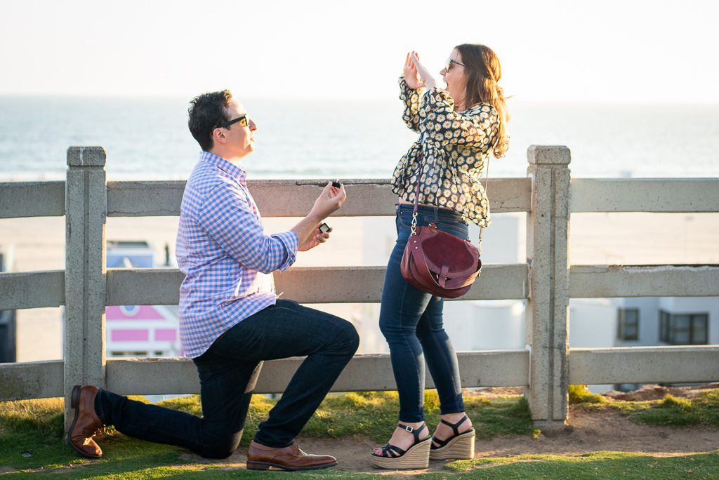 Photo Favorite Engagement Proposal Ideas of the Week