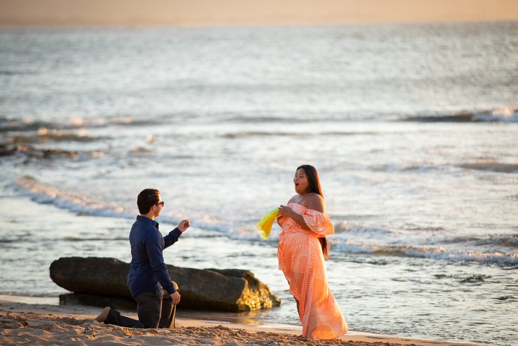 Photo Our Favorite Proposals of the Summer