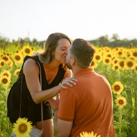 Chase stunning sunset sunflower proposal, Washington DC
