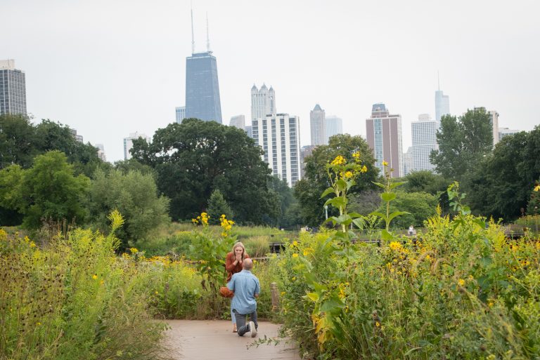 Photo Chicago Proposal Ideas: Lincoln Park