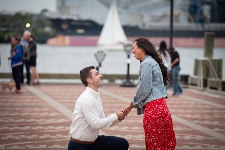 Photo Our favorite proposals in September