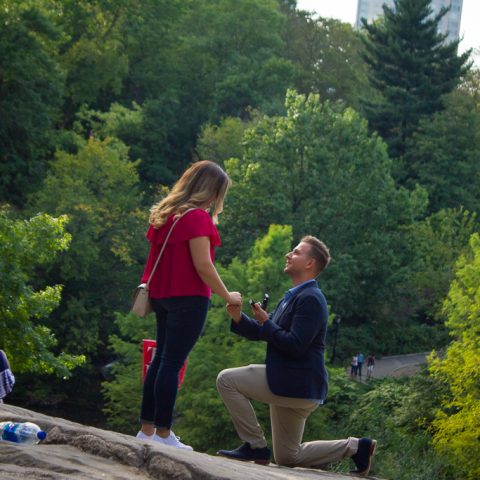Peter Central Park proposal, New York.
