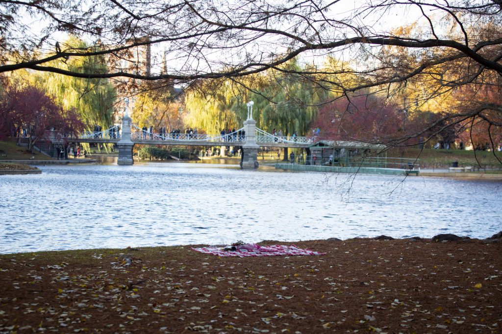 Photo Boston Proposal Ideas: Public Garden