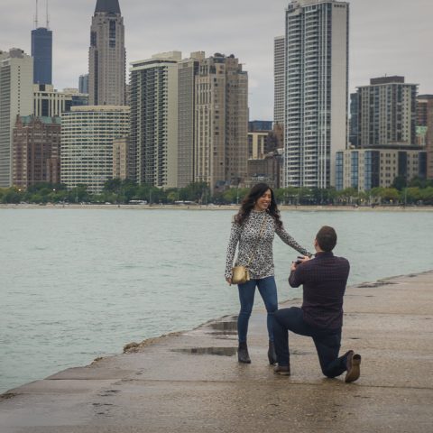 Kevins Chicago Skyline Proposal