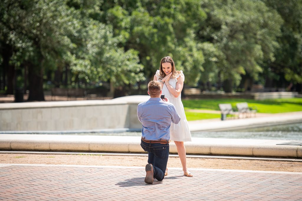 Photo Our favorite proposals in September