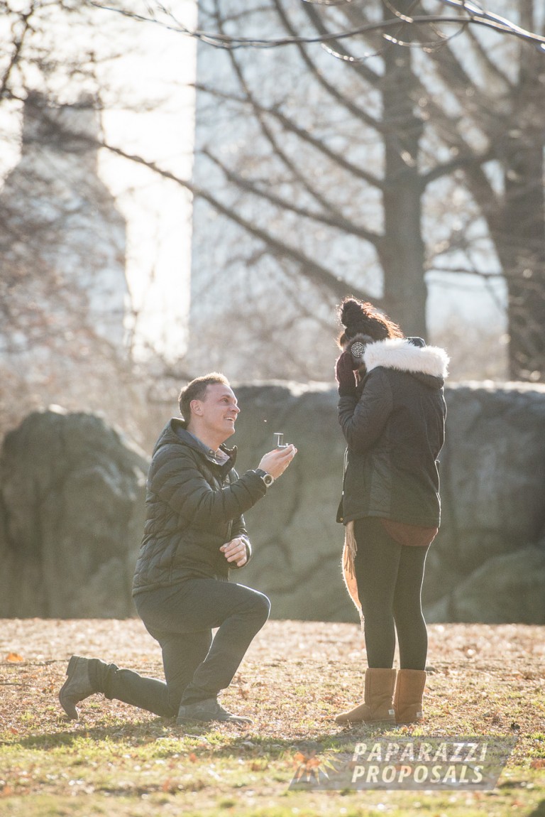 Photo Proposal Photography – Central Park, New York – Adam & Emily’s Proposal