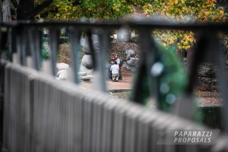 Photo Proposal Photography – Dallas – Juan & Molly’s Proposal and Engagement