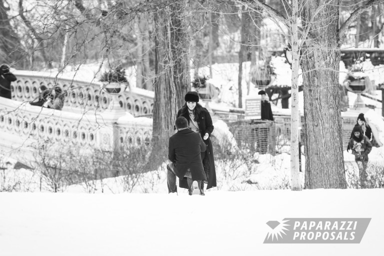Photo Terry and Cristina’s Engagement In Central Park, New York!