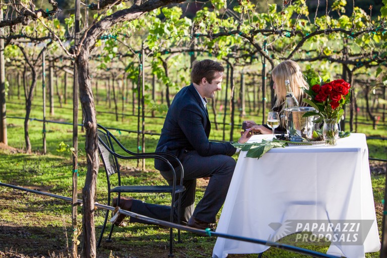 Photo Proposal Photography – San Diego Vineyard Proposal – Paul and Harriet