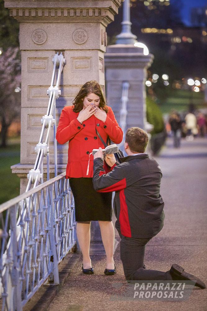 Photo Boston Proposal Ideas: Boston Public Garden