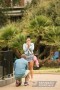 The Proposal