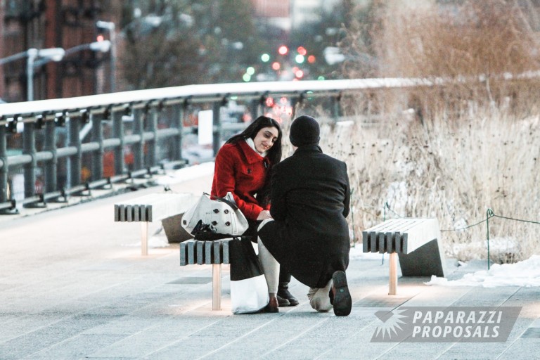 Photo Daniel’s winter Highline proposal, New York City Photo Daniel’s winter Highline proposal, New York City