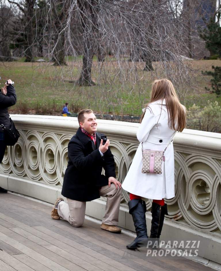 Photo Drew And Kathryn’s Central Park Carriage Ride Proposal.