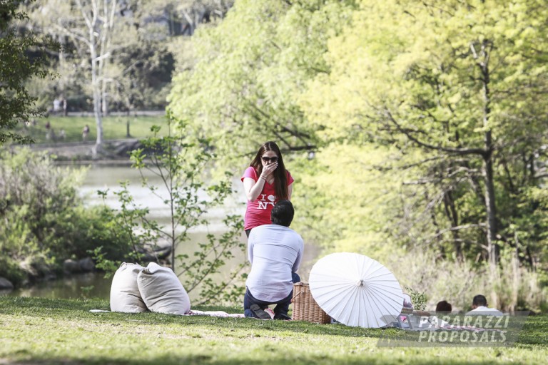 Photo New York City Proposal Photography – Perfect Picnic