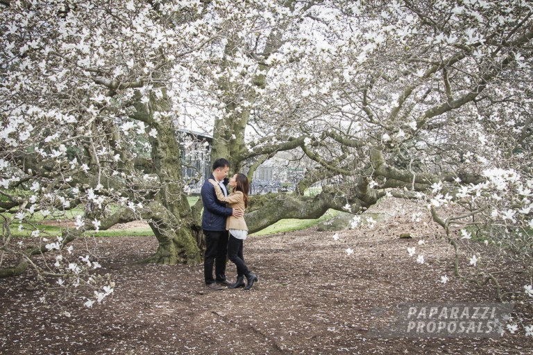 Photo NYC Proposal Photography | New York Botanical Gardens