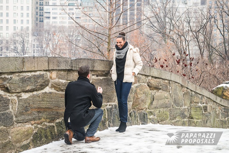 Photo Rob and Zara’s romantic Central Park proposal, New York
