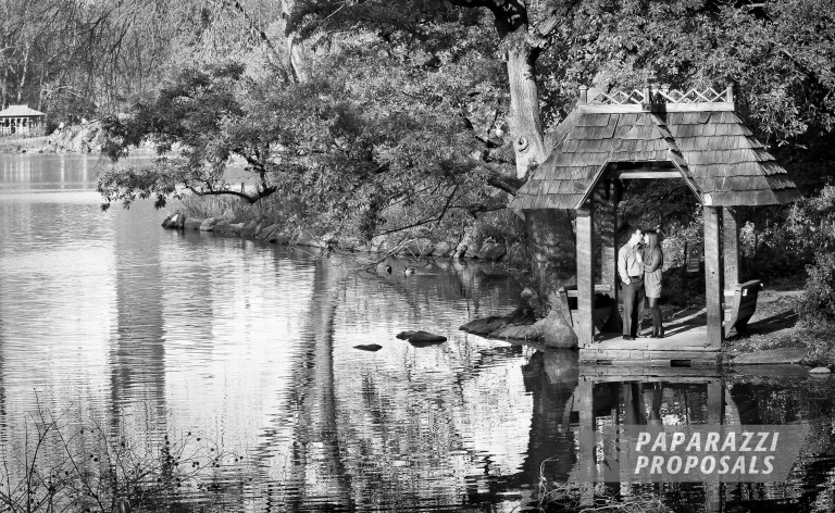 Photo Rory and Claire’s beautiful central park proposal.