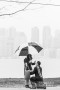 The Proposal
