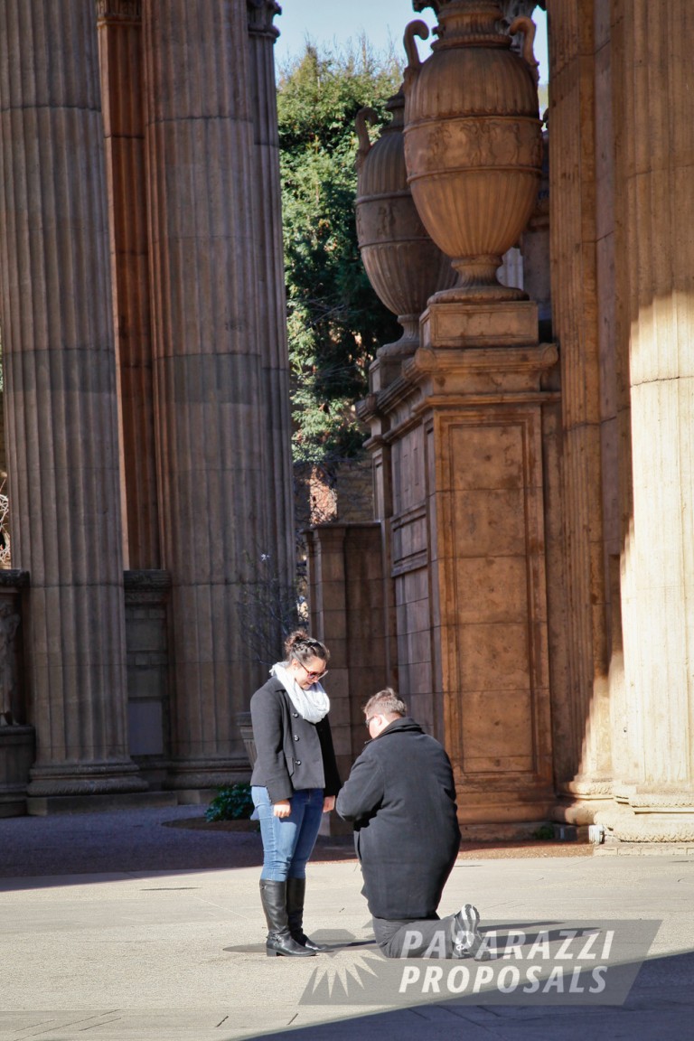 Photo Travis and Jenny’s unique San Francisco Palace proposal Photo Travis and Jenny’s unique San Francisco Palace proposal
