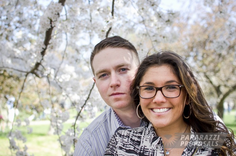 Photo Washington D.C. Proposal Under the Cherry Blossoms