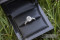 The Ring