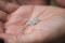 The Ring