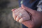 The Ring