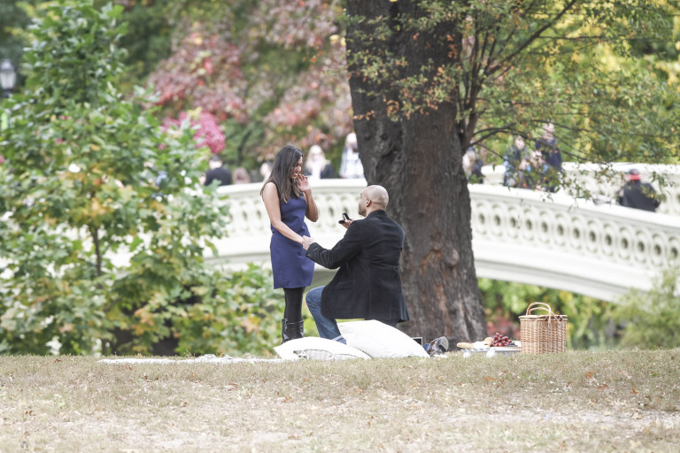 Photo NYC Surprise Proposal Photography: Fall Picnic Proposal