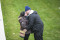 Captured With Surprise Proposal Photography