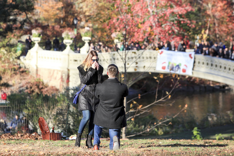Photo New York Proposal Photography: Eugene and Milana