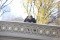 A Kiss