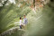 The Engagement Session