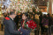 The Proposal