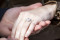 The Engagement Ring