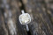 The Ring