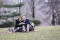 The Proposal Plan