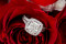The Engagement Ring