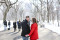 An Engagement Session