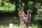 A Walk in the Park 