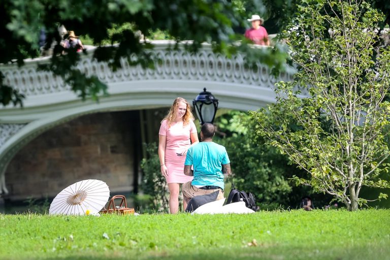 Photo Ways to Propose in New York: Samuel and Maegan