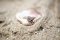 The Ring 