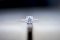 The Ring