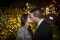 The Proposal 