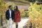 The Proposal