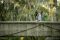 The Proposal 