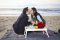 Picnic at the Beach 