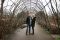 The Proposal 