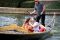 The Proposal 