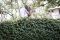 The Proposal 