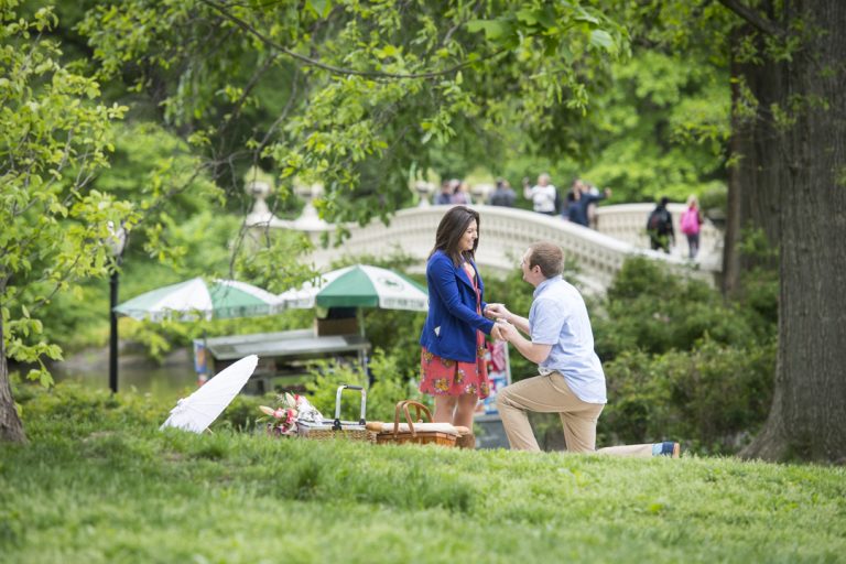 Photo Tyrell’s New York Picnic Engagement Proposal
